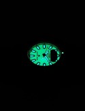 Orologio Citizen Aqualand I JP2007-17W Full Lume