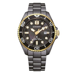 Citizen Promaster Diver's 200m BN0264-53E Limited Edition